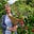 Blossom Broadbean's avatar