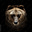 TonyBear's avatar