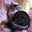 JohnnyCat's avatar