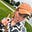 Faye Boam's avatar