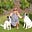 Karen's avatar