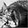 PetMom's avatar