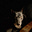 Jim Crownover's avatar