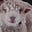 Mrs Mutton's avatar