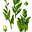 Emily Spinach's avatar