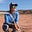 Holly Wielkoszewski's avatar