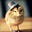 HatChick's avatar