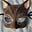 Linda Lassman's avatar