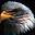 Carol P.'s avatar