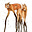 Rachel Crowley's avatar
