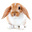 Dominick Riesland's avatar