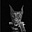 DJoy's avatar