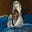 Nubia Assata's avatar