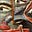 Elwyn Hudson's avatar