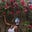 Eniola's avatar