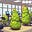 Gym's avatar