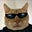Alex B's avatar