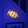 Origami Isopod's avatar