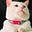 BearskySheBearsky's avatar