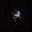 Dandeliontree's avatar