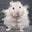 The Rodent Extraordinaire's avatar