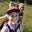 Thruhikers's avatar