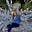 Leslie Hershberger's avatar
