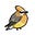 Aeron's avatar