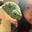 katie tan's avatar