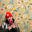 A. Caso's avatar
