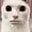 Zach Ferinhide II's avatar