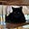 Kittyfever1's avatar