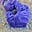 Purple Dot's avatar