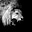 Whispers to Roars's avatar