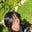 Avatar de Notas de una Mariposa