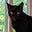 Tina Wilson's avatar