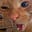 Broom's avatar