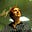 Helen Barrell's avatar