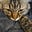 Cat's avatar
