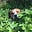 GoDogGo's avatar