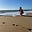 Avatar de Laurence Pujol