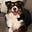 Runs with Dogs's avatar