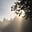 Equitable_Earth's avatar