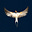 Erdem Varol's avatar
