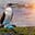YourGalapagosGullfriend's avatar