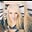 Sine Anonime's avatar