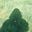 Isabel's avatar