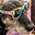 deepa's avatar