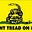 True Bee's avatar