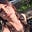 Avatar de Sophia M. Thomas